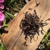 Tè Rosso (nero) Biologico Experimental 50 g