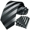 HISDERN Men's Tie Striped Wedding Tie & Pocket Square Set,