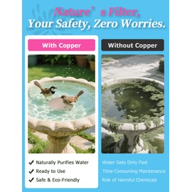 Mellbree 2-Pack Bird Bath Purification Disk, 99.99% Pure Copper Disc Cleaner Safe for Outdoor Bird Bath, Solar Fountains and Concrete Bowls - Bird-Safe Gift for Bird Lovers 0.6mm Reinforced