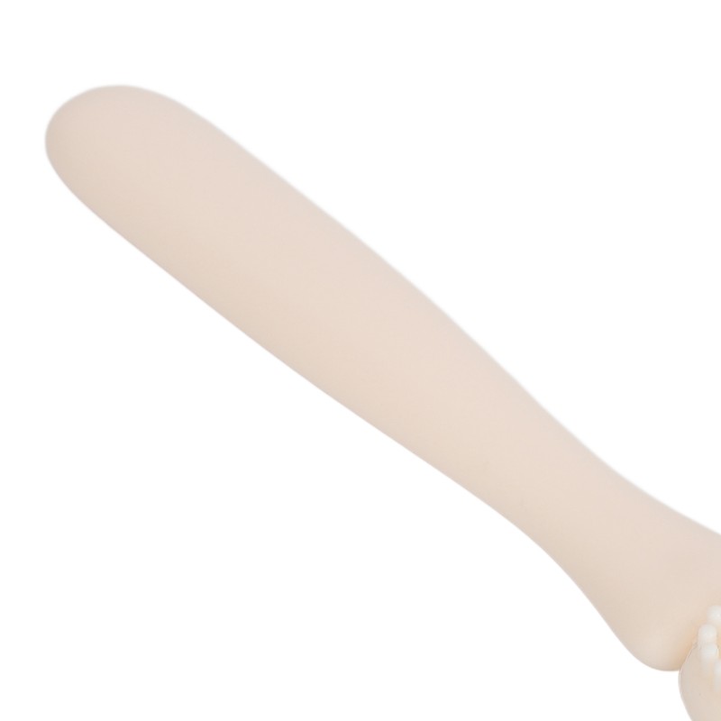 Sensory Mouth Brush Oral Muscle Training Textured Silicone Oral Stimulation