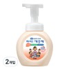 iClean Antibacterial Foam Hand Soap Peach Fragrance, 250ml, 2 Pieces / 아이깨끗해 항균 폼 핸드솝 복숭아향, 250ml, 2개