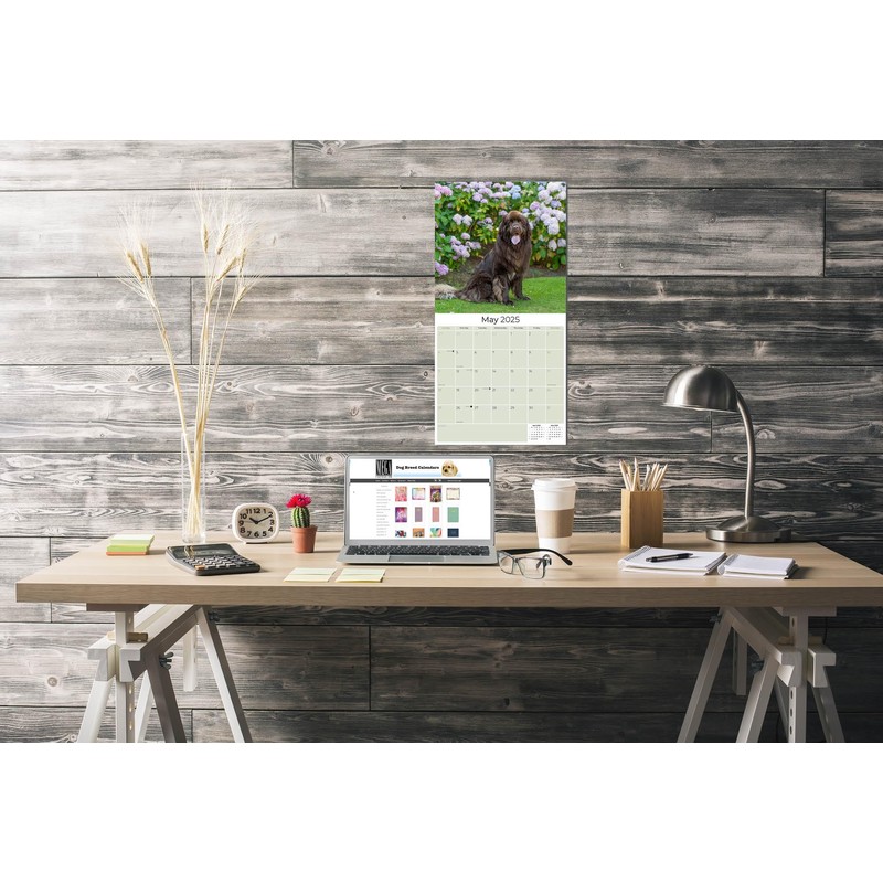 Newfoundland Calendar 2020 - Dog Breed Calendar - Wall Calendar