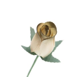 White Roses with Olive Tips Bunch of 8 Closed Bud Wooden Roses for Crafts Custom Bouquets and Other DIY Projects. Choose Form Over 60 Colors