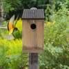 Wooden Pet Bird Nests House Nesting Box Birdhouse Accessories for