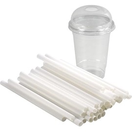 LAVV HOUSEWARES LTD 200 Clear Reusable Smoothie Cups with Dome Lids and Compostable Straws (16oz (454ml))