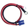 AYECEHI Premium EC5 to O Ring Terminal Extension Cable EC5