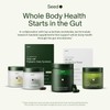 Daily Synbiotic – Prebiotic & Probiotic Supplement for Digestive &
