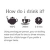 Twinings Ginger FlavouredTea - 80 Biodegradable Tea Bags (Multipack of
