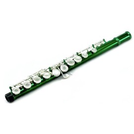 Sky C Flute with Lightweight Case, Cleaning Rod, Cloth, Joint Grease and Screw Driver - Green/Silver Open Hole