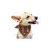 Everything Chic Luxury Small Dog Bandana – Designer Puppy Scarf