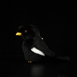 lilizzhoumax Simulation black starling Plush Toy 14cm/5” Cute Realistic Stuffed Animal Wild Black Myna Plush Toy Super Soft Home Decoration Gift for Kids black starling bird collection