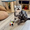 Electric Cat Toy Car, Interactive Electric Cat Toy, Smart Remote
