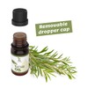 Organic Tea Tree Oil 10ml, Vegan – 100% Pure Tea