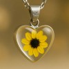 Joyeria De Shrek Collar Girasol Regalos Mujer Novia Nice