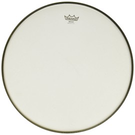 Remo Banjo Head, RENAISSANCE® DIPLOMAT®, 11" Diameter, Low Collar