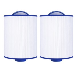Wowreed Spa Filter Compatible with PMAX50P4, 5CH-35, FC-0300, PAS35P, SD-00780, SD-00650, Baleen AK-90109, 2 Pack