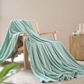 Fleece Blanket Throw Size - Soft Plush Fluffy Fuzzy Throw Blanket for Couch Bed Sofa - Luxury Lightweight Warm Microfiber Flannel Blanket All Season Use for Home Travel Camping, 50x60 inches