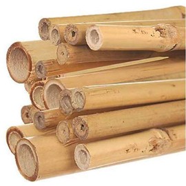 Hydrofarm HGBB6 6' Natural, pack of 25 Bamboo Stake, Tan