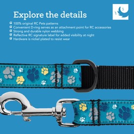 RC Pets Dog Leash | 6ft Leash with Durable Grip, Reflective Label & Accessory Ring | 1-Inch Wide, Soft Webbing | Sushi
