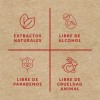 Shampoo Orgánico Sólido Anticaída Árbol Verde Con Romero Y Sábila