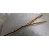 WellieSTR Heavy Duty 100% Polyester Sewing Thread Brown 20s/3 for