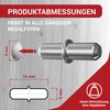 LouMaxx Shelf Support 5 mm Pack of 100 with Ring