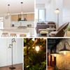 Vintage LED Dimmable Edison Light Bulbs 100W Incandescent Equivalent, 8W