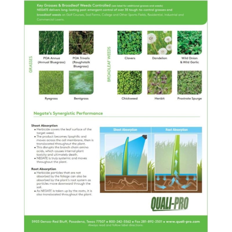 Quali-Pro Negate 37WG Herbicide