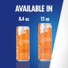 Red Bull Amber Edition Energy Drink, Strawberry Apricot, with 80mg