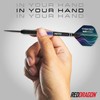 RED DRAGON Darts – Professional Player – Peter Wright Snakebite