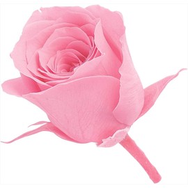 Earth Farms Brand of Preserved Flower Bouquets Wedding Vivian