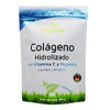 Vidanat Colágeno Hidrolizado Puro Vitamina Magnesio 300