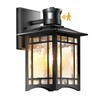 Motion Sensor Outdoor Lights, Dusk to Dawn Light Fixture, Black