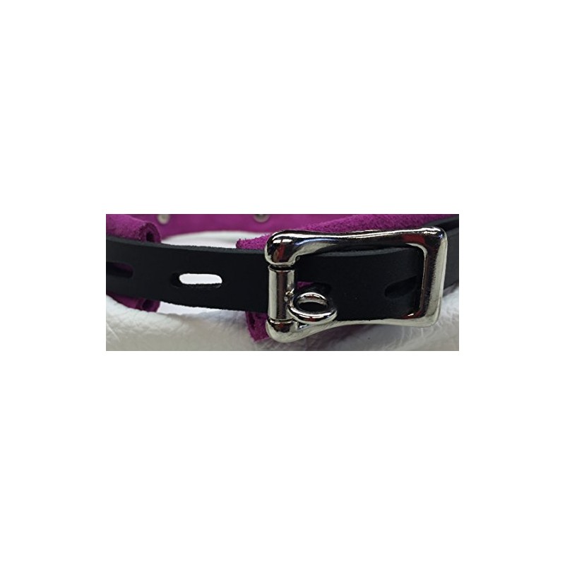 Lockable Black Upholstery Leather Collar with D Rings Comes with