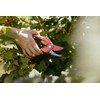 Fiskars Secateurs Bypass Ruby Inspiration, 1003657