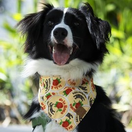 Kit de Bandana y Scrunchie Patrios a Juego para Perro-Humano Diferentes Estampados Mexicanos y Tallas (S, Mazapán)