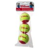 Wilson WRT137001 Tennis Ball, Sponge Ball, Starter Red, Pack of