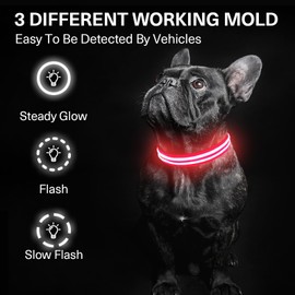 Light up Dog Collar for Night Walking, Rechargeable Waterproof LED Dog Collar, Glow in The Dark Dog Collars LED Lighted for Large Medium Small Dogs