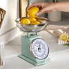Salter Salter SA00562SFEU12 Timeless Mechanical Kitchen Scale C Baking Scale