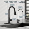 FORIOUS Kitchen Faucet and Water Filter Faucet Combo, Black Stainless