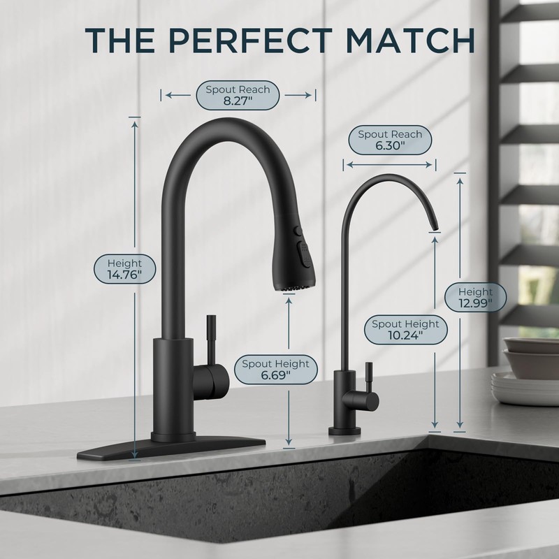 FORIOUS Kitchen Faucet and Water Filter Faucet Combo, Black Stainless