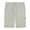 Airwalk Mens Cargo Shorts Grey