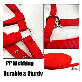 Adjustable Horse Halter, Equestrian Horse Riding Headcollar with Satin Hardware, Adjustable Fit,Small Medium Large Horse Halter