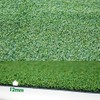LITA Golf Putting Green, Golf Hitting Mat- 1FT x 59FT,Golf