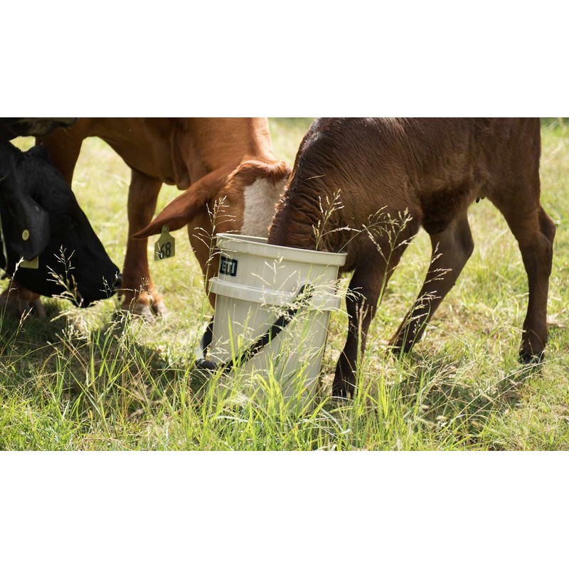 YETI Loadout 5-Gallon Bucket, Impact Resistant Fishing/Utility Bucket, Tan