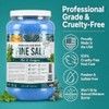 Spa Redi Pedi Bath Fine Salt, Mint & Eucalyptus, 1