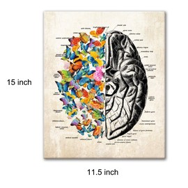 Anatomy Brain Canvas Wall Art for Doctor Office Decor, Gift for Medical School Graduation, Social Worker Graduation Gift, Occupational Therapist Gift, Psychological Doctor Gift Size 11.5 " X 15 "