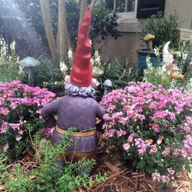 Gnomes of Toad Hollow -"Merlin The Garden Gnome Figurine Statue 20" H