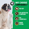 TummyWorks Probiotic Powder for Dogs & Cats. Probiotics For Digestive
