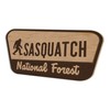 Sasquatch National Forest Wood Wall Decor – Rustic Bigfoot Sign